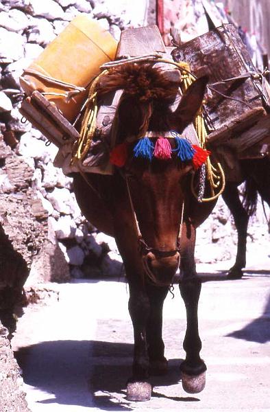 168-Karpathos (Olympos) ,18 agosto 1998.jpg